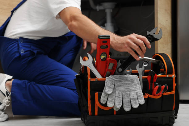 Best Clogged Drain Plumber  in Fredonia, WI